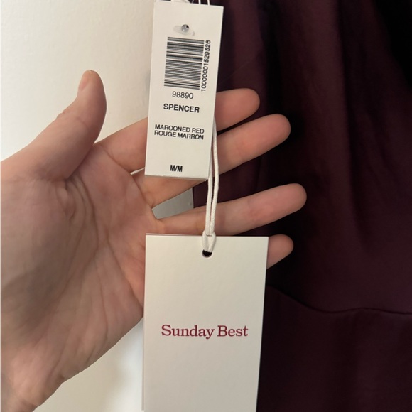 Aritzia Sunday best, Spencer dress - Marooned Red, size m, with tags - Picture 3 of 3